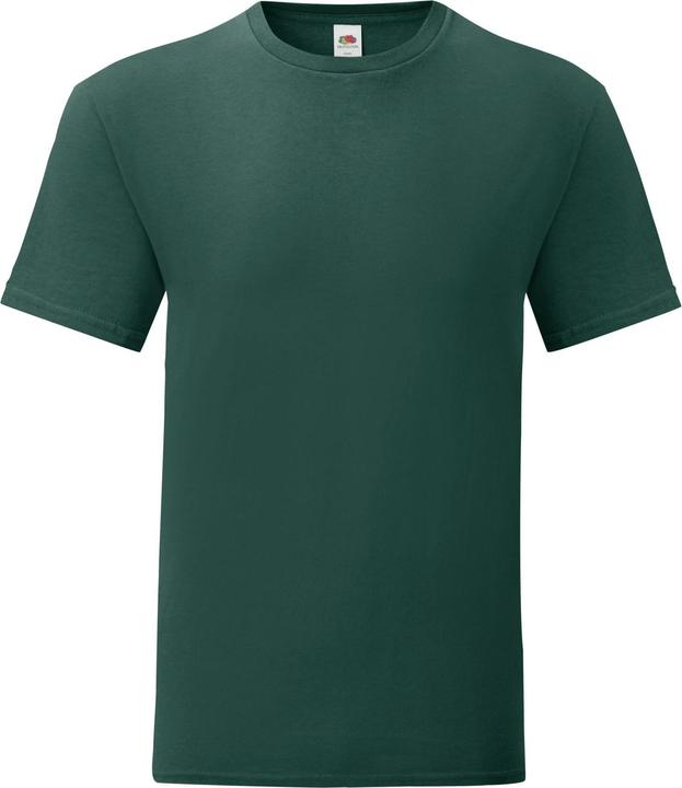 Fruit of the Loom Iconic 150 TShirt (L)