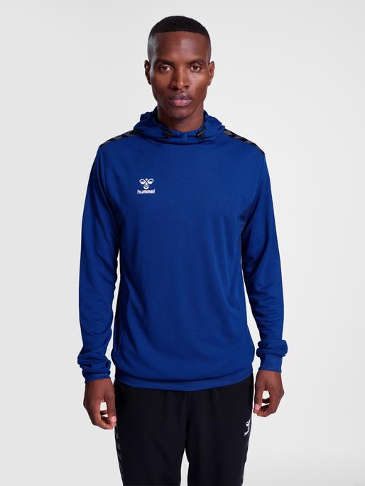 Actual product image hummel Hmlauthentic Pl Hoodie (L)