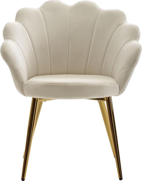 Actual product image FineBuy Tulpe