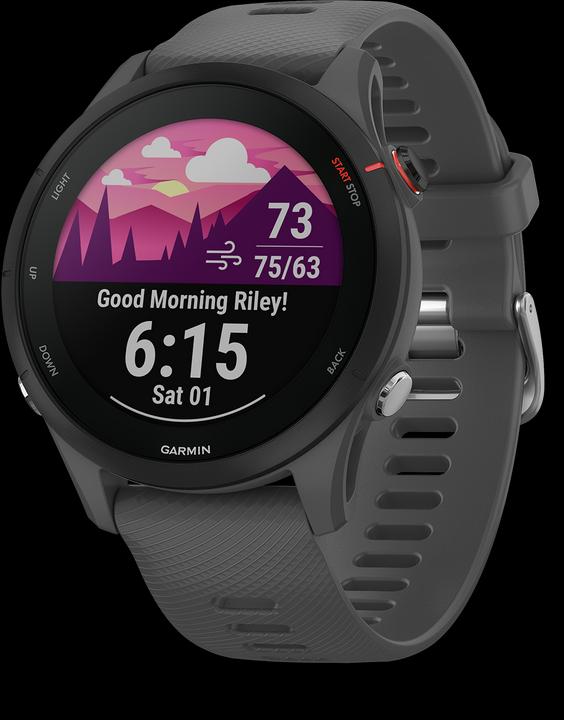 Actual product image Garmin Forerunner 255 (46 mm)