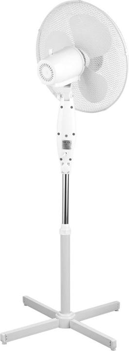 Actual product image Teesa Fan