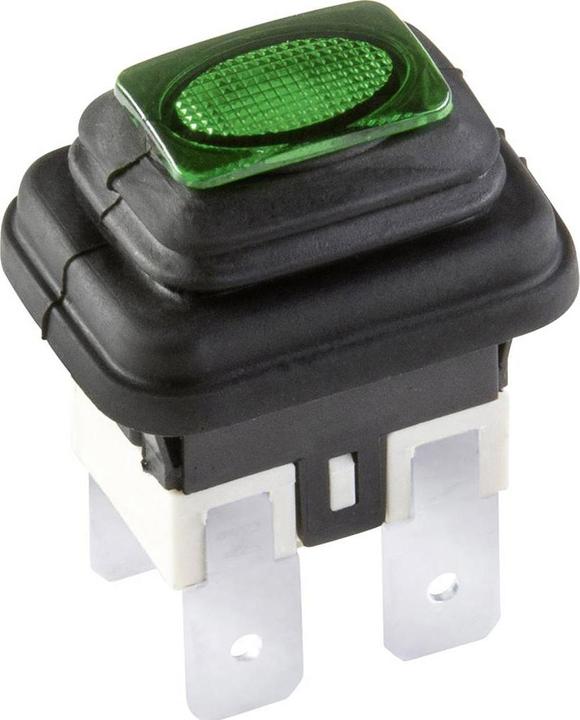 Actual product image interBär Pressure switch 2-pole 36
