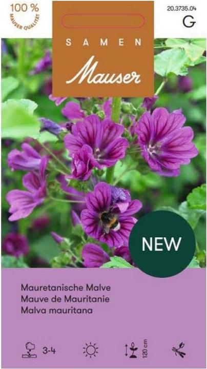 Produktbild Samen Mauser Mauretanische Malve, Bio: Nein, Blütenfarbe: Rot (Blumensamen)