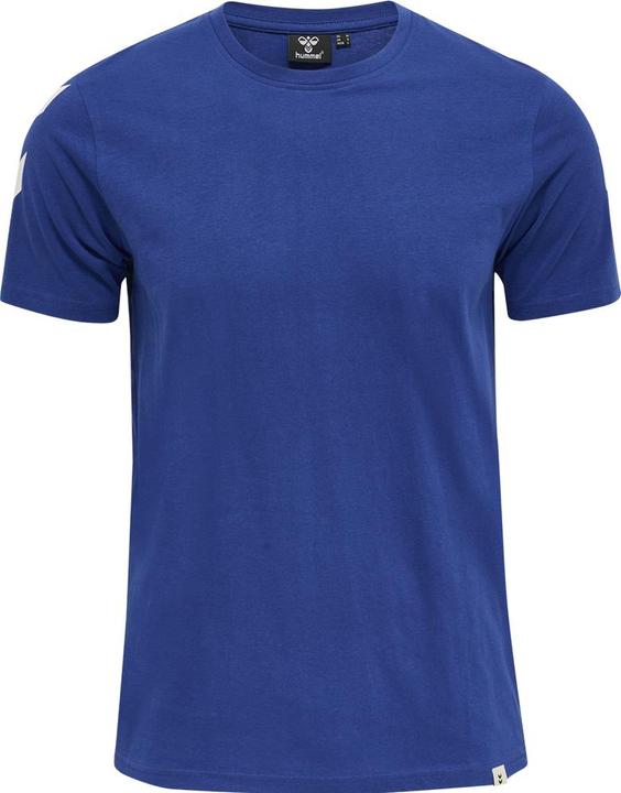 Actual product image hummel Legacy Chevron T-Shirt (L)