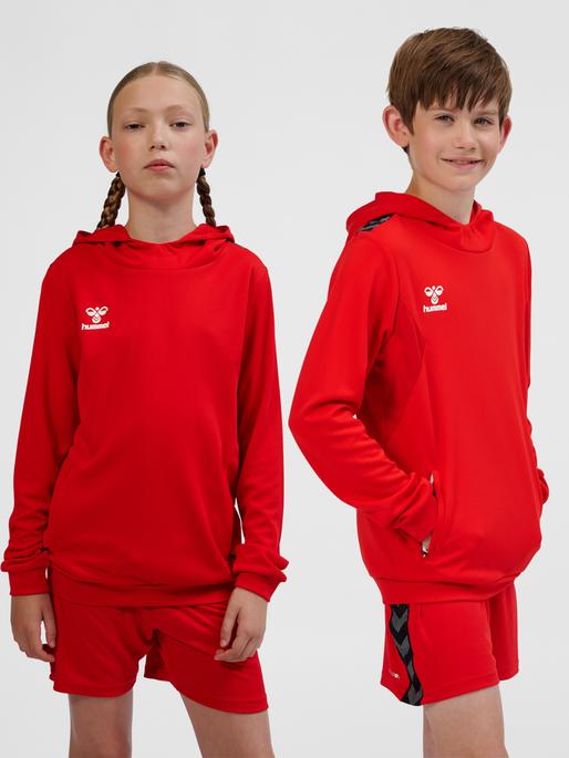 Immagine prodotto hummel Hmlauthentic Pl Hoodie Kids (116)