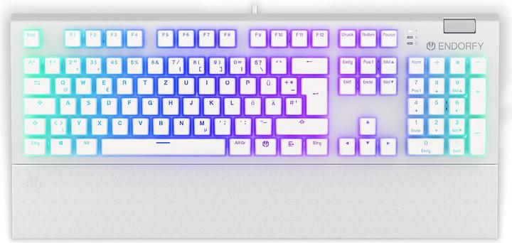 Actual product image Endorfy Keyboard Omnis (DE, Cable)
