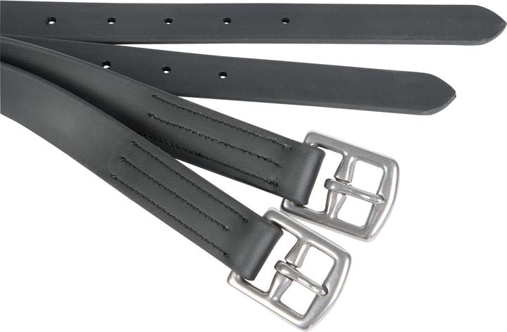 Actual product image Harry's Horse Stirrup Leathers Harry's Original Biothane