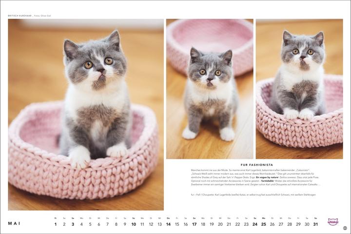 Produktbild Whiskas Katzenkalender 2026 (45 x 30 cm, Harter Einband, Deutsch)