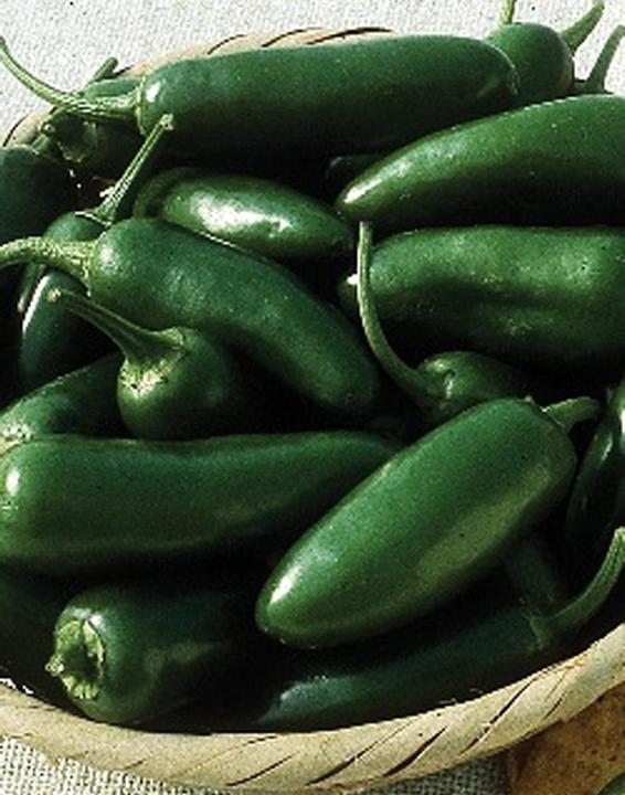 Tropica Early Jalapeno Capsicum Annum (Graines de légumes)