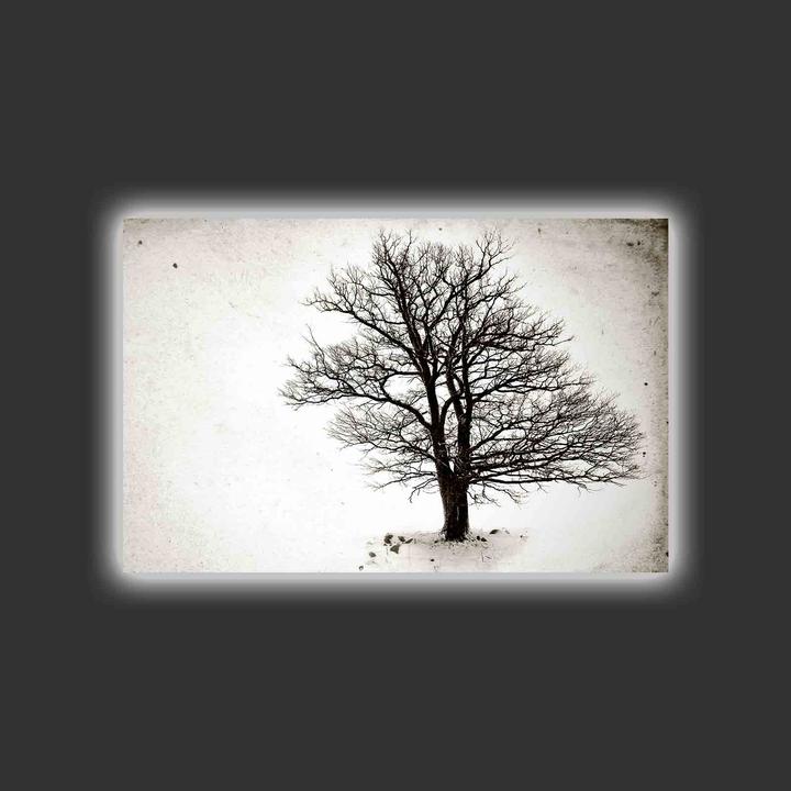 Produktbild Wallxpert Jace (45 x 70 cm)