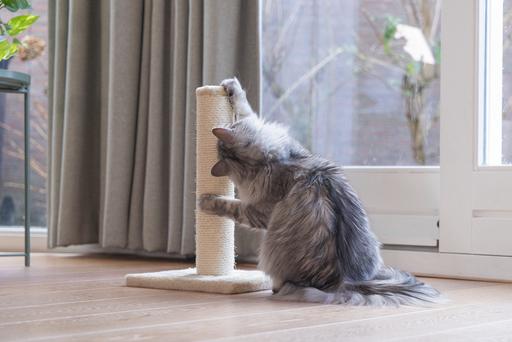 Actual product image Beeztees Bz Cat Tree Gina Mini Beige 3 (45 cm, Beige)