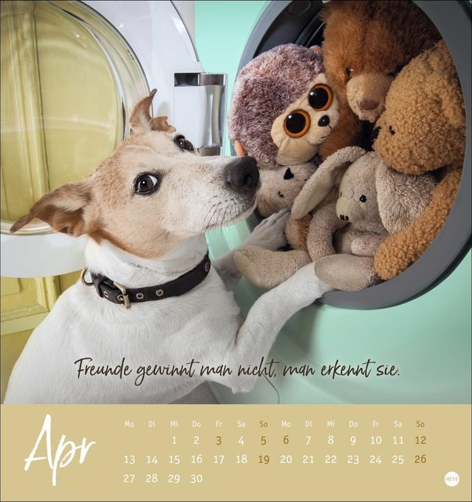 Actual product image Ziemlich beste Freunde Postkartenkalender 2026 - Für immer dein (Hardcover, German)