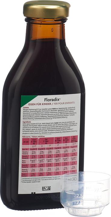 Actual product image Floradix Iron for children (1 Piece, Liquid, 606 g)