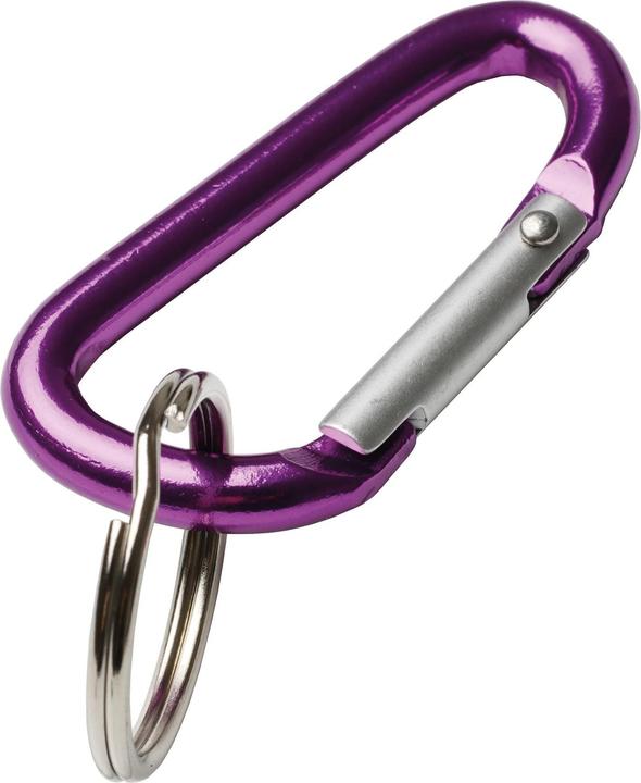 Actual product image Rieffel Aluminium key carabiner 8060/50 SB/2