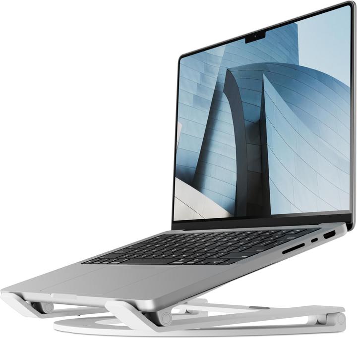 Immagine prodotto TwelveSouth Curve Flex