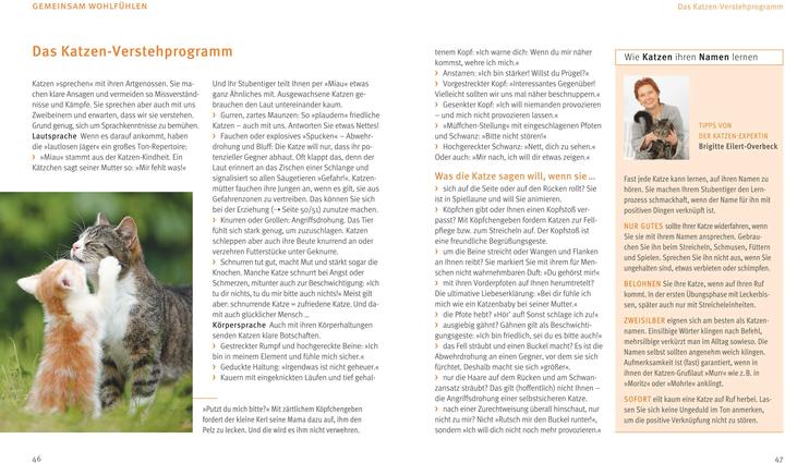 Actual product image Katzen (German, Brigitte Eilert-Overbeck, 2016)