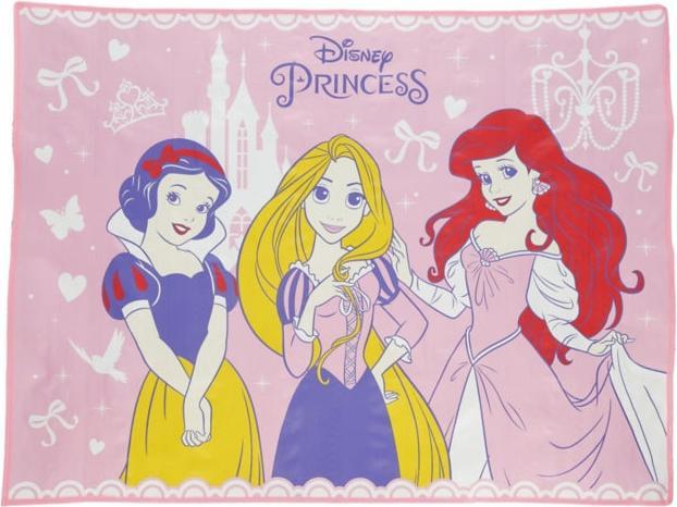 Actual product image Disney Princess picnic blanket