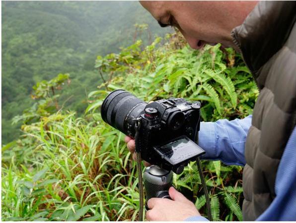 Actual product image Panasonic Lumix S1 (24 - 105 mm, 24.20 Mpx, Full frame)