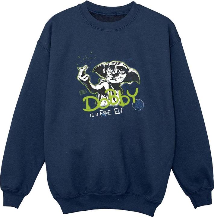 Dobby A Free Elf Sweatshirt Jungen