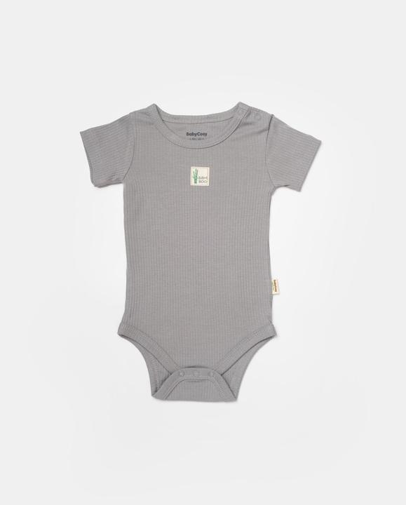 Actual product image BabyCosy 2 Pcs short sleeved Body (80)