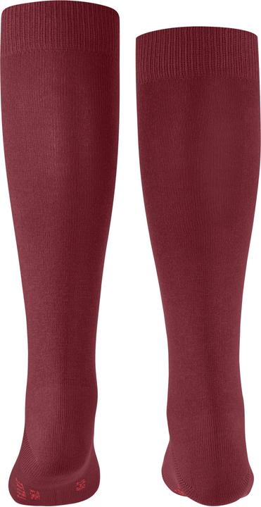 Immagine prodotto Falke Family KH (19 - 22)