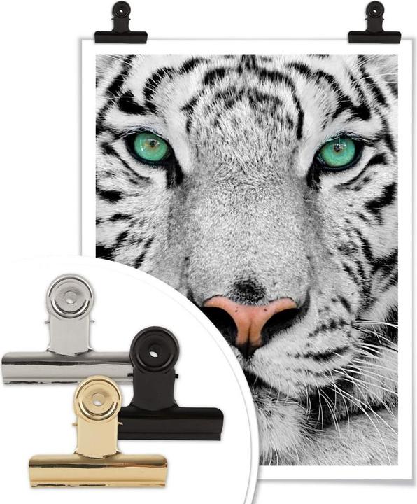 Actual product image Trenddeko Gorgeous Sumatran Tiger (30 x 40 cm)