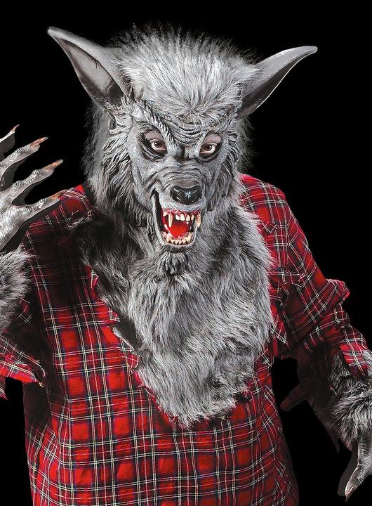 Actual product image Fun World Division Werwolf grau