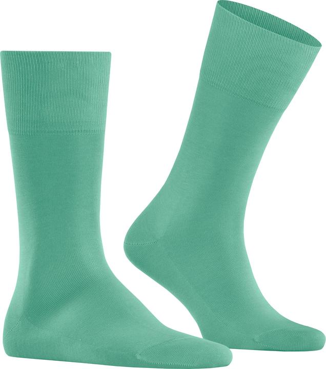 Produktbild Falke Tiago (41 - 42)