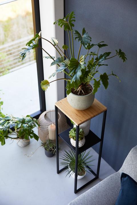 Actual product image Yamazaki 2-tier shelf with wooden top TOWER