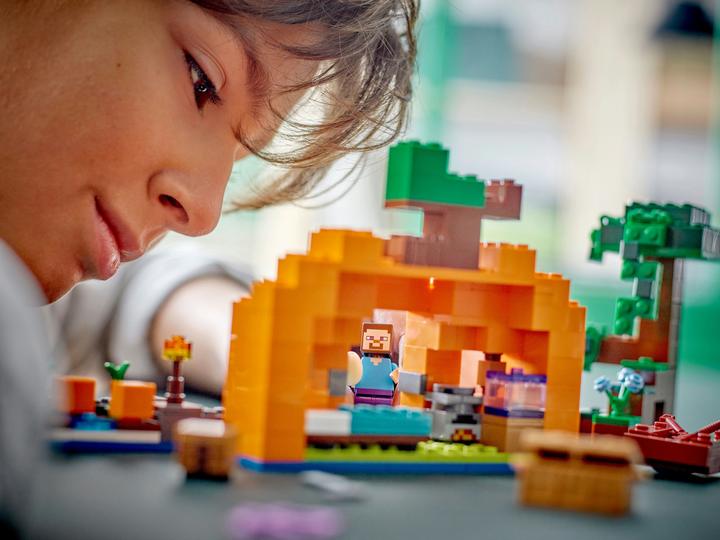 Image du produit LEGO La ferme aux citrouilles (21248, LEGO Minecraft)