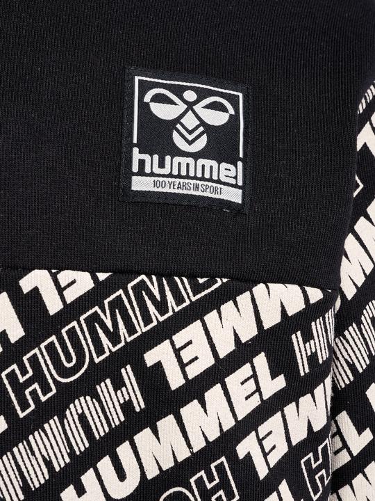 Immagine prodotto hummel hmlCAMERON HOODIE (134)