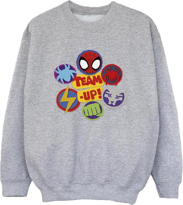 Spidey And His Amazing Friends Team Up Sweatshirt Jungen