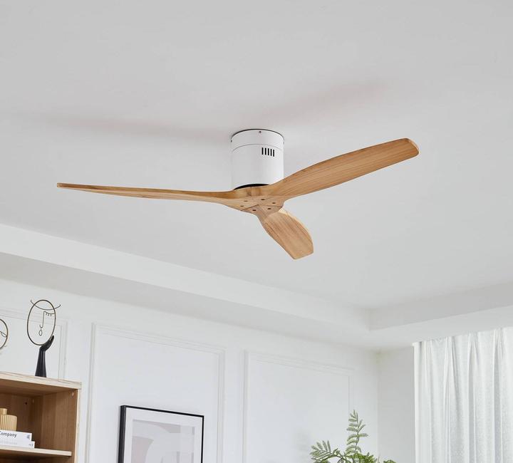 Actual product image Lucande Vindur (47 dB)