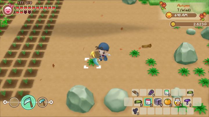 Produktbild Marvelous Story of Seasons : Friends of Mineral Town (Switch, FR)
