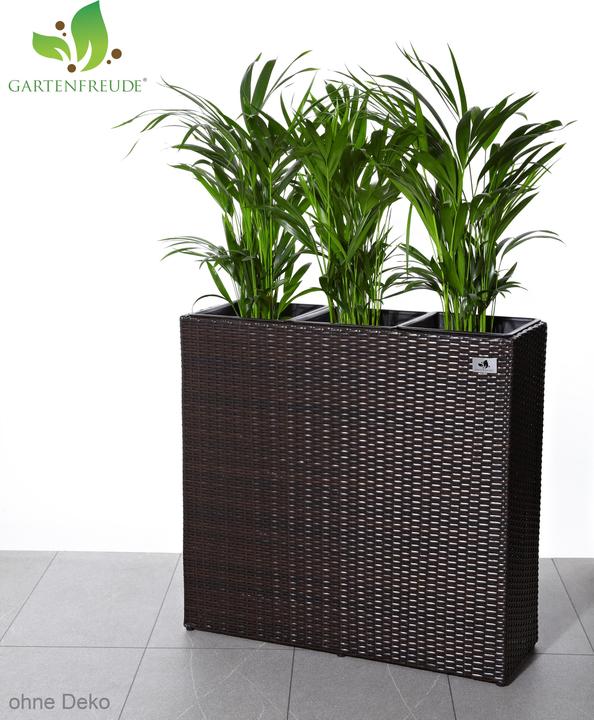 Produktbild Gartenfreude Raumteiler (26 cm)