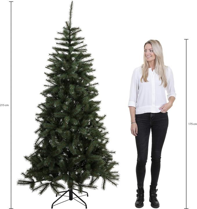 Image du produit Triumph Bristlecone (215 cm)
