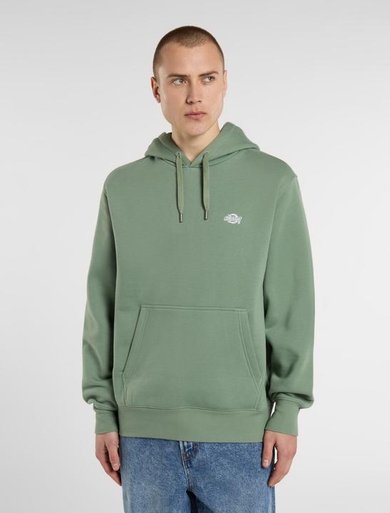 Actual product image Dickies Summerdale Hoodie (S)