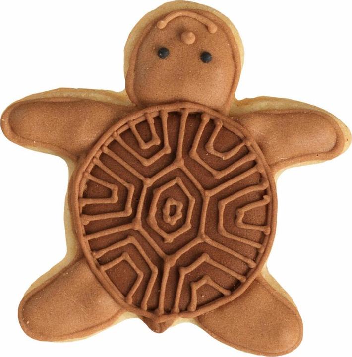 Image du produit Birkmann Tortue