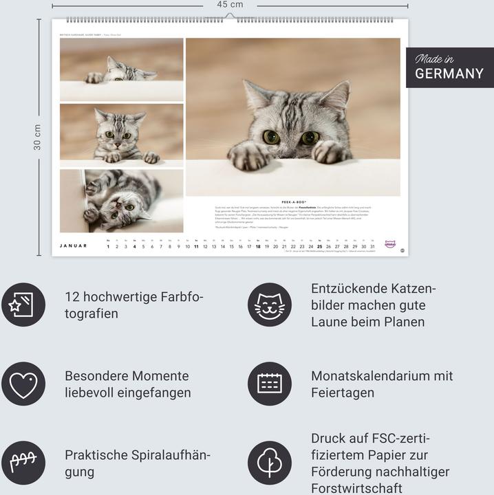 Produktbild Whiskas Katzenkalender 2026 (45 x 30 cm, Harter Einband, Deutsch)