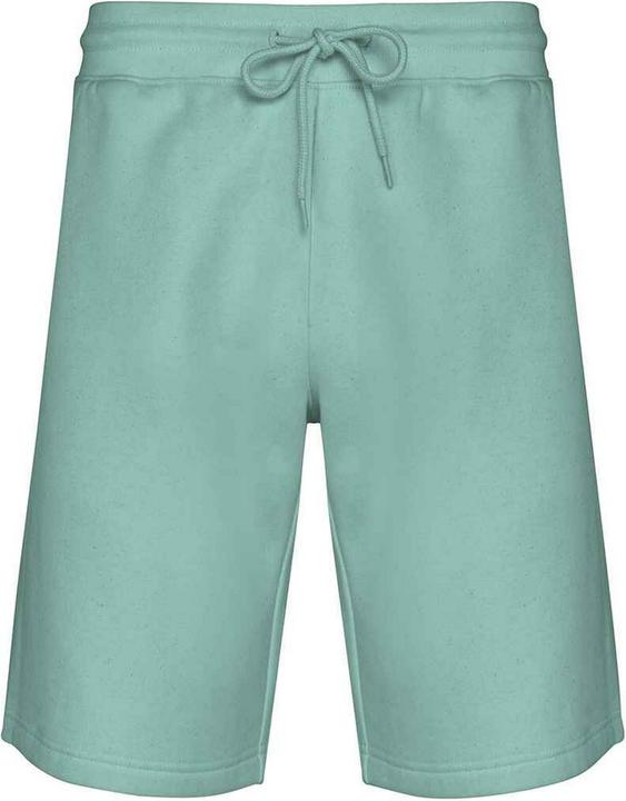 Native Spirit SweatShorts