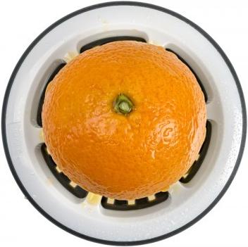 Actual product image Lurch Citro