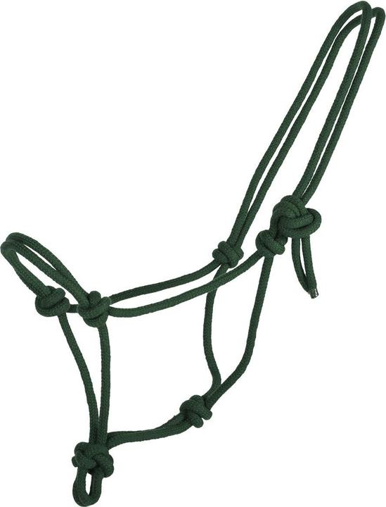 Qhp Basic