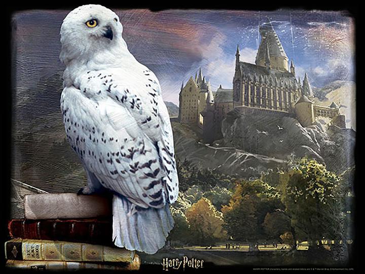 Actual product image Grandi Giochi Harry Potter Hedwig 3D Puzzle (500 pieces)