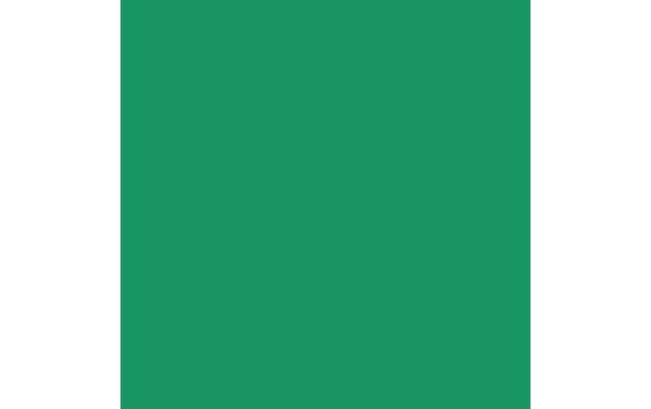 Actual product image Amsterdam Acrylic Paint Standard Series (Paul Veronese green, 120 ml)