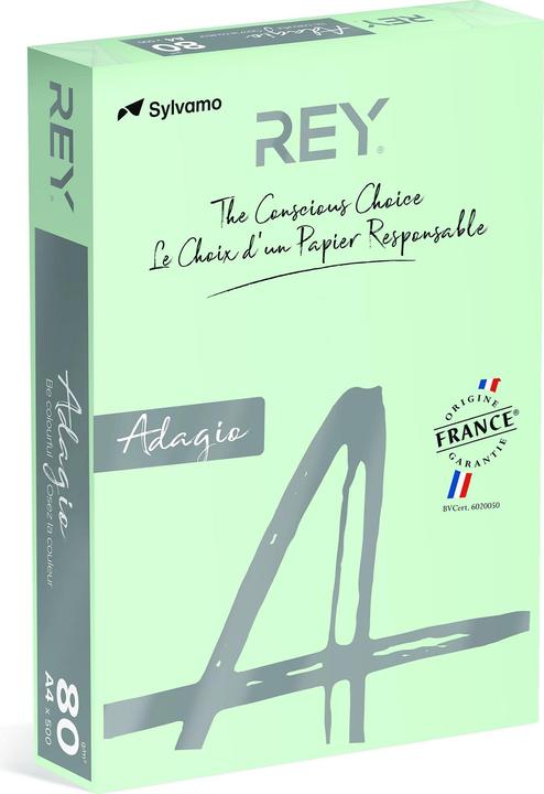 Produktbild Rey Adagio KOPIERPAPIER ADAGIO A4 80gr HELLGRÜN PASTELL 81 (80 g/m², 81 x, A4)