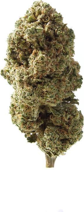 Produktbild Herba di Berna Cannatonic Indoor (11 g, Indoor)
