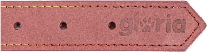 Image du produit Gloria Collier pour chien Oasis Rose 70 cm (70 x 3 cm) (ABS)