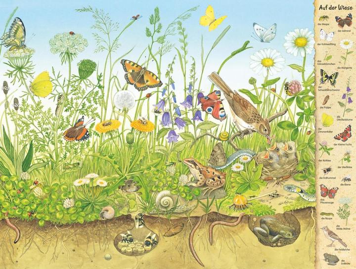 Produktbild Das Riesen-Natur-Wimmelbuch (Deutsch, Christine Henkel, 2018)