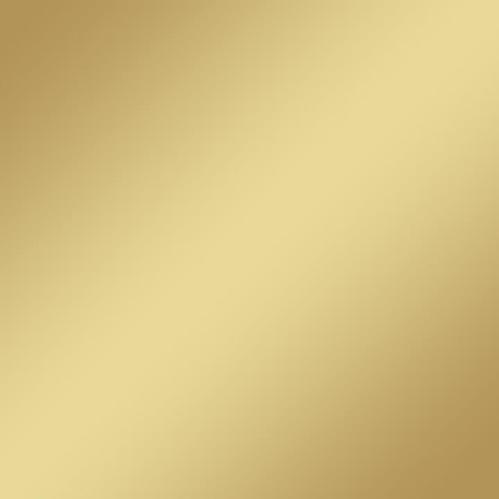 Immagine prodotto PlottiX SpeedFlex Metallic - 32cm x 50cm Champagne