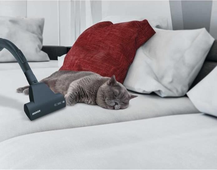 Image du produit Hoover Xarion Pro XP81 XP25011 Cylindre à vide sec Sans sac